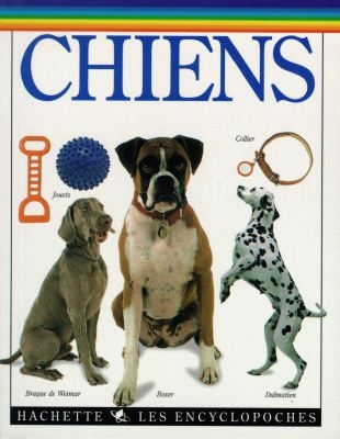 Chiens