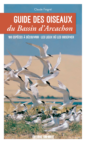 Guide des oiseaux du bassin d'Arcachon : 100 espèces à découvrir, les lieux où les trouver