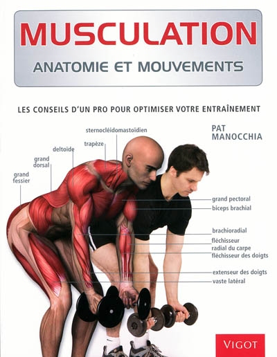 Musculation : anatomie et mouvements : les conseils d'un pro pour optimiser votre entraînement