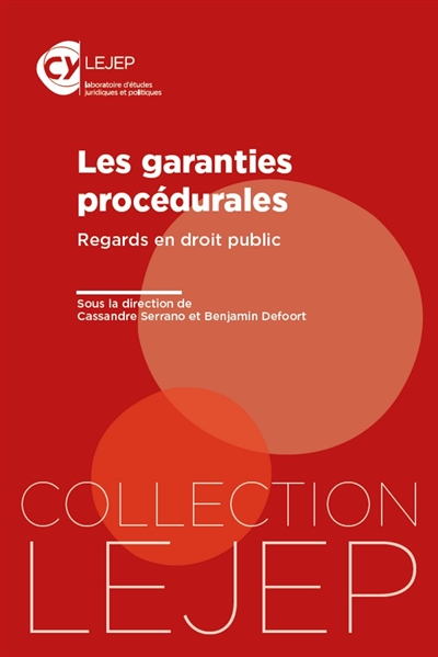 Les garanties procédurales : regards en droit public