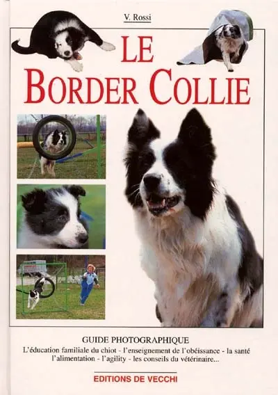 Le Border Collie