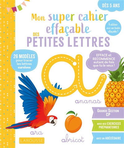 Mon grand cahier effaçable : petites lettres : de la grande section au CP, 5-6 ans