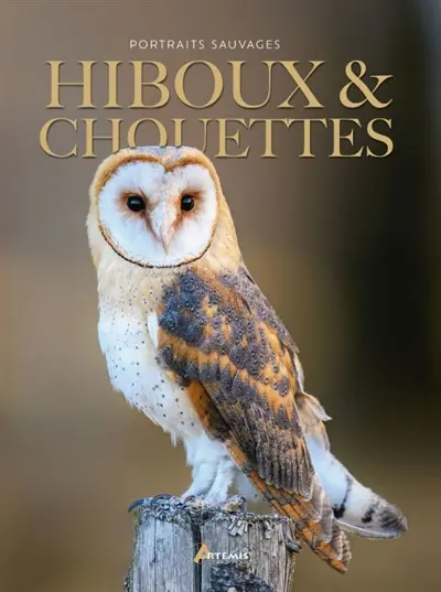 Hiboux & chouettes
