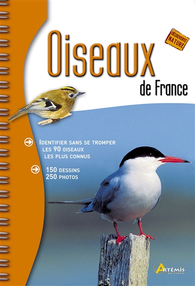 Oiseaux de France : identifier sans se tromper les 90 oiseaux les plus connus