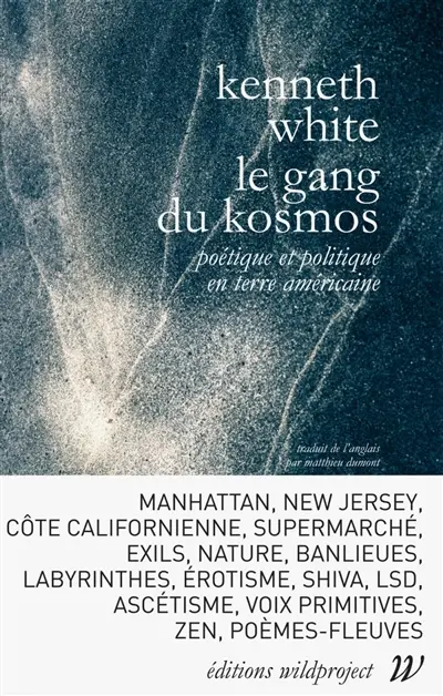 Le gang du kosmos : poétique et politique en terre américaine