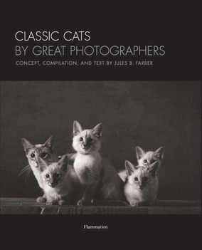 Classic cats by great photographers