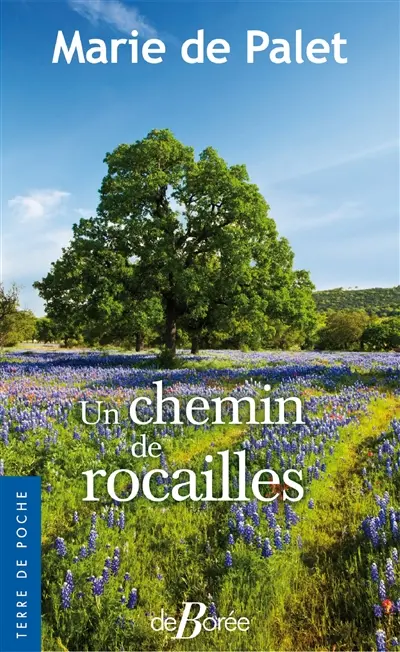 Un chemin de rocailles