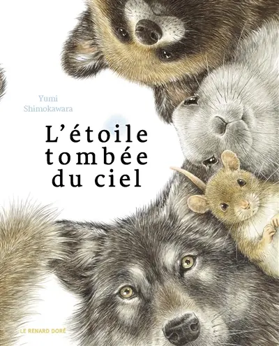 L'étoile tombée du ciel