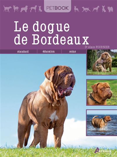 Le dogue de Bordeaux : standard, éducation, soins