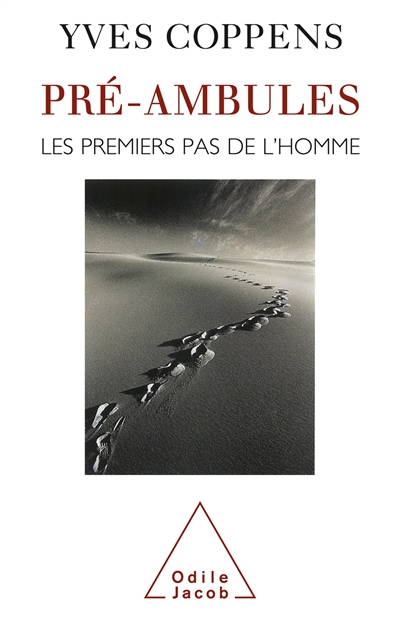 Pré-ambules : les premiers pas de l'homme