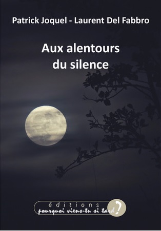 couverture du livre Aux alentours du silence