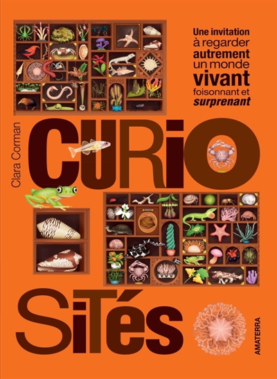 Curiosités