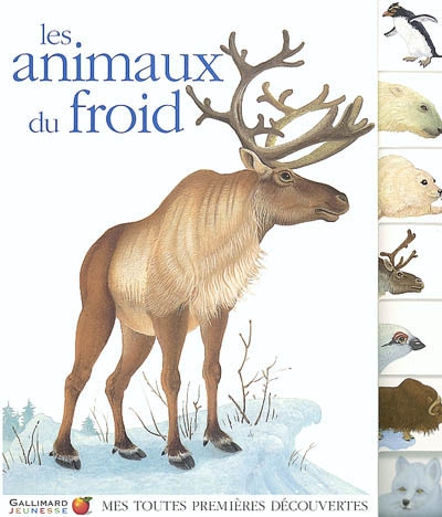 Les animaux du froid