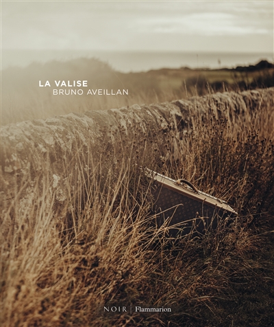 La valise