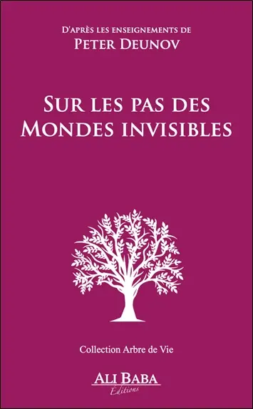 Sur les pas des mondes invisibles