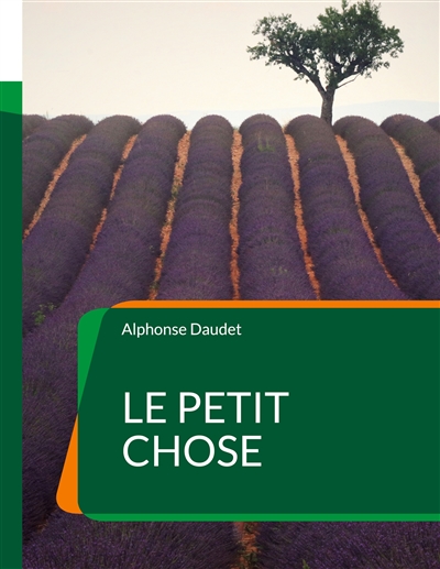 Le Petit Chose : Un roman autobiographique