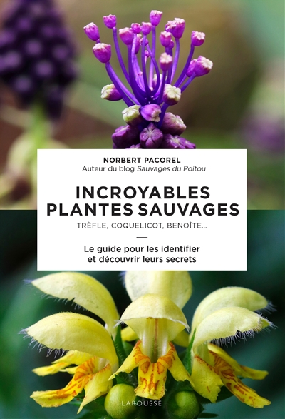 Incroyables plantes sauvages : trèfle, coquelicot, benoîte... : le guide pour les identifier et découvrir leurs secrets