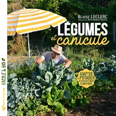 Légumes et canicule : adapter le potager au réchauffement climatique