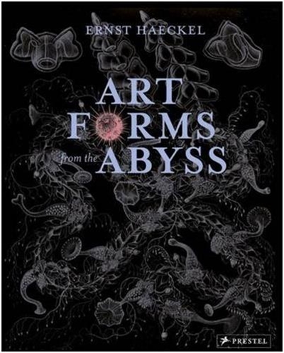 Ernst Haeckel Art Forms from the Abyss : Ernst Haeckel's Images from the HMS Challenger Expedition