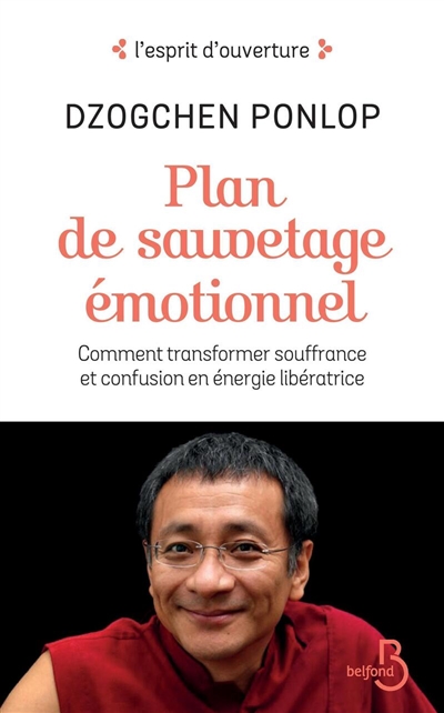 Plan de sauvetage émotionnel : comment transformer souffrance et confusion en énergie libératrice