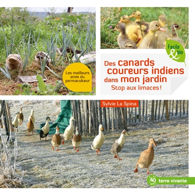 Des canards coureurs indiens dans mon jardin : stop aux limaces ! : les meilleurs amis du permaculteur