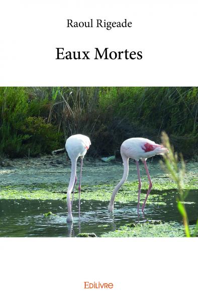 Eaux mortes