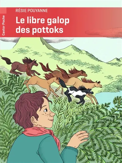 Le libre galop des pottoks