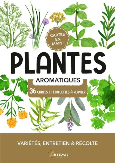 Plantes aromatiques : 36 cartes et étiquettes à planter : variétés, entretien & récolte