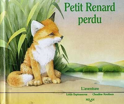 Petit renard perdu