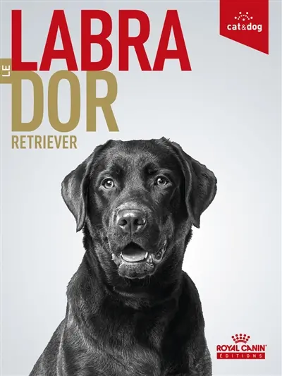 Le labrador retriever