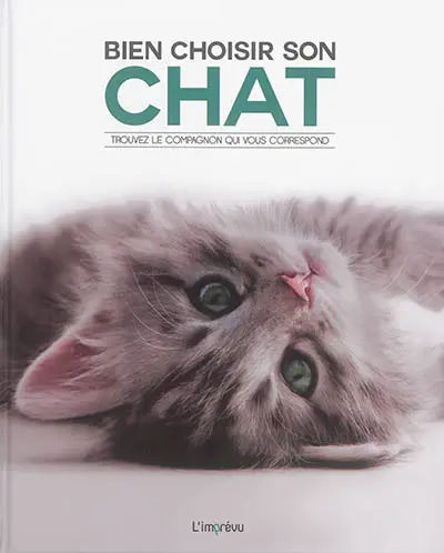Bien choisir son chat : trouvez le compagnon qui vous correspond