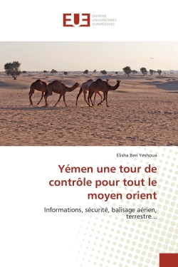 Yémen une tour de contrôle pour tout le moyen orient : Informations, sécurité, balisage aérien, terrestre...