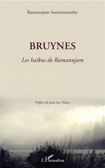 Bruynes : les haïkus de Ramanujam