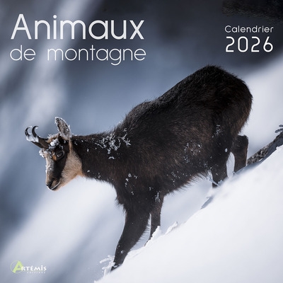 Animaux de montagne :...