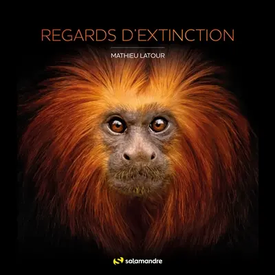 Regards d'extinction