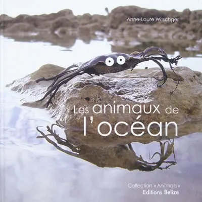 Les animaux de l'océan