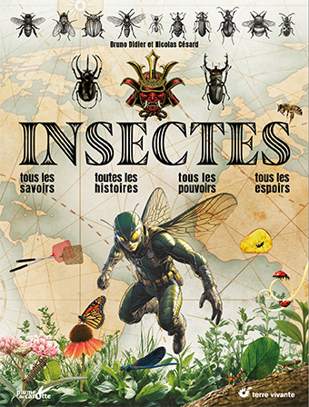 Insectes : tous les...