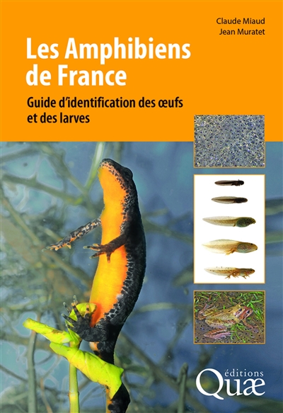 Les amphibiens de France : guide d'identification des oeufs et des larves
