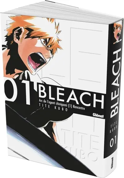 Bleach. Vol. 1. The death and the strawberry