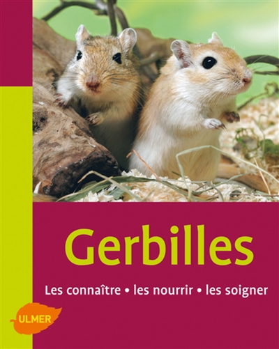 Gerbilles : les connaître, les nourrir, les soigner