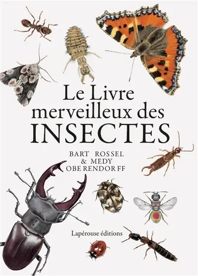 Le livre merveilleux des insectes : du bombardier, du bousier, de la guêpe émeraude et de bien d'autres petites bêtes