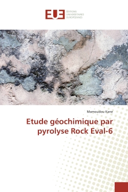 Etude géochimique par pyrolyse Rock Eval-6