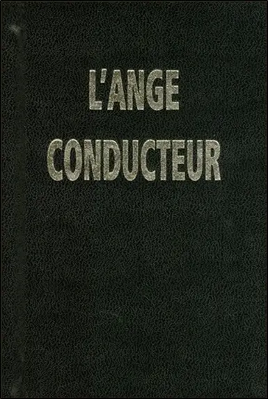 L'ange conducteur des âmes dévotes : dans la voie de la perfection chrétienne
