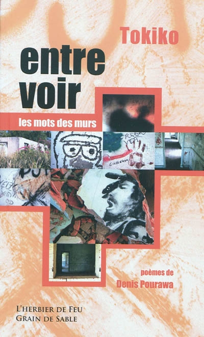 Entre voir : les mots des murs : traces d'une exposition, 2 avril-25 mai 2003, Centre culturel Tjibaou