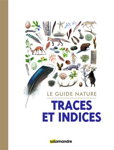 Traces et indices : le guide nature