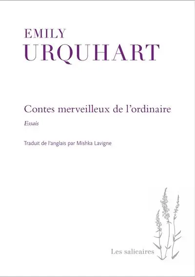 Contes merveilleux de l'ordinaire : essais