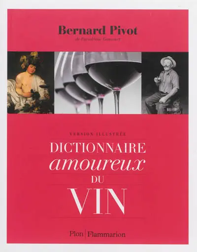 Dictionnaire amoureux du vin : version illustrée
