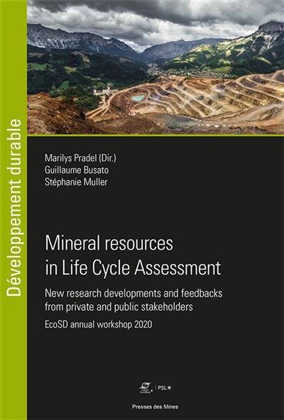 Mineral resources in Life cycle assessment : new research developments and feedbacks from private and public stakeholders