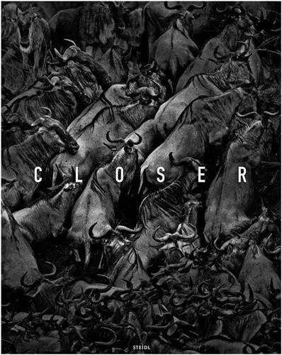 Tomasz Gudzowaty Closer