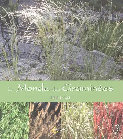 Le monde des graminées